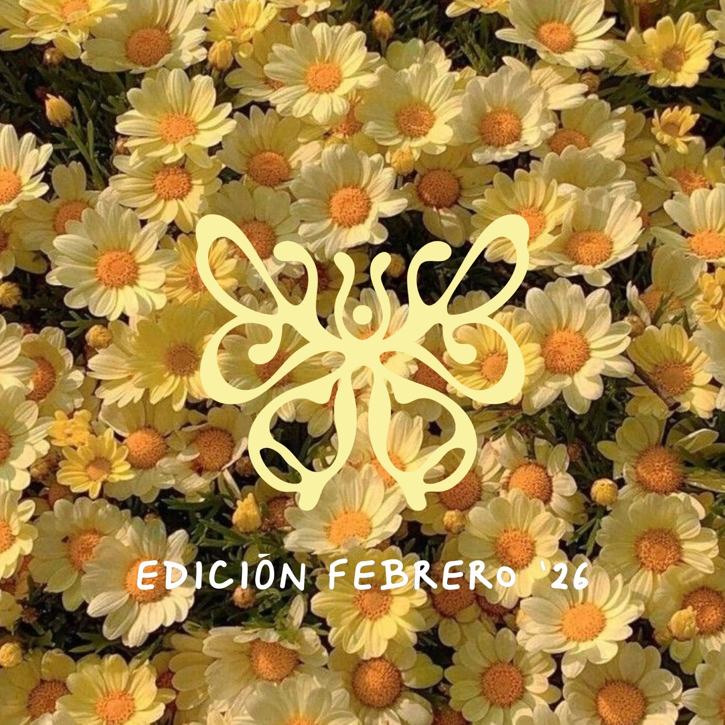 (PRE-VENTA) Febrero '26 ✴ Pulchra Postal Club