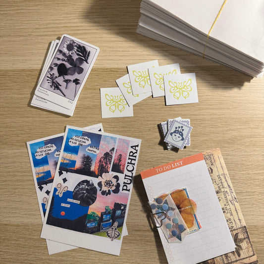 Edición de Noviembre '25