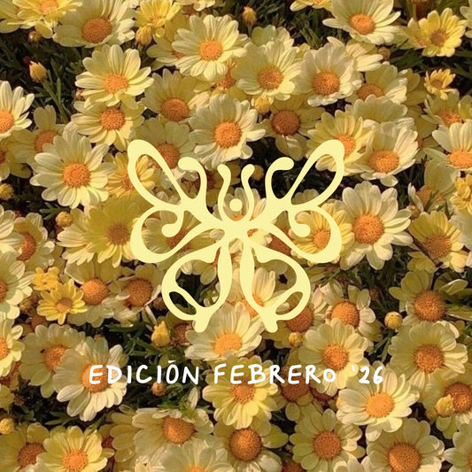 (PRE-VENTA) Febrero '26 ✴ Pulchra Postal Club